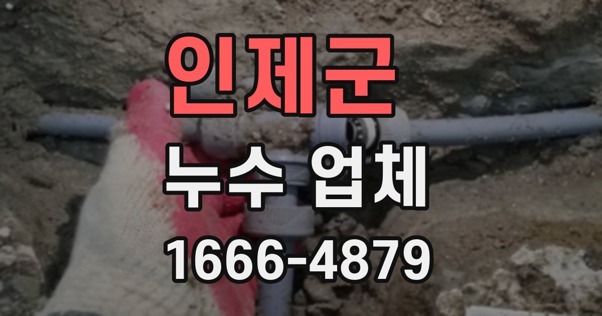인제군 누수 업체