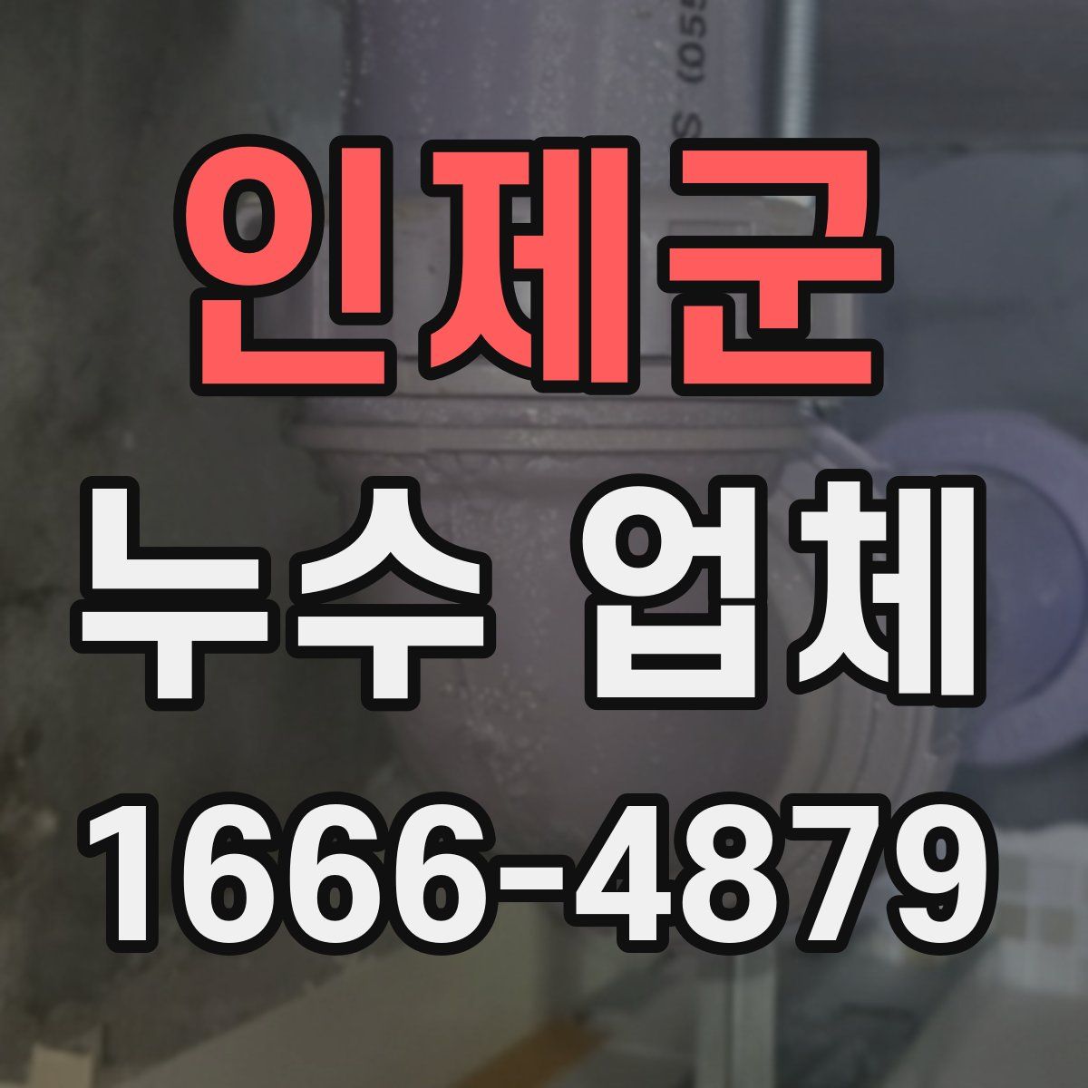 인제군 누수 업체