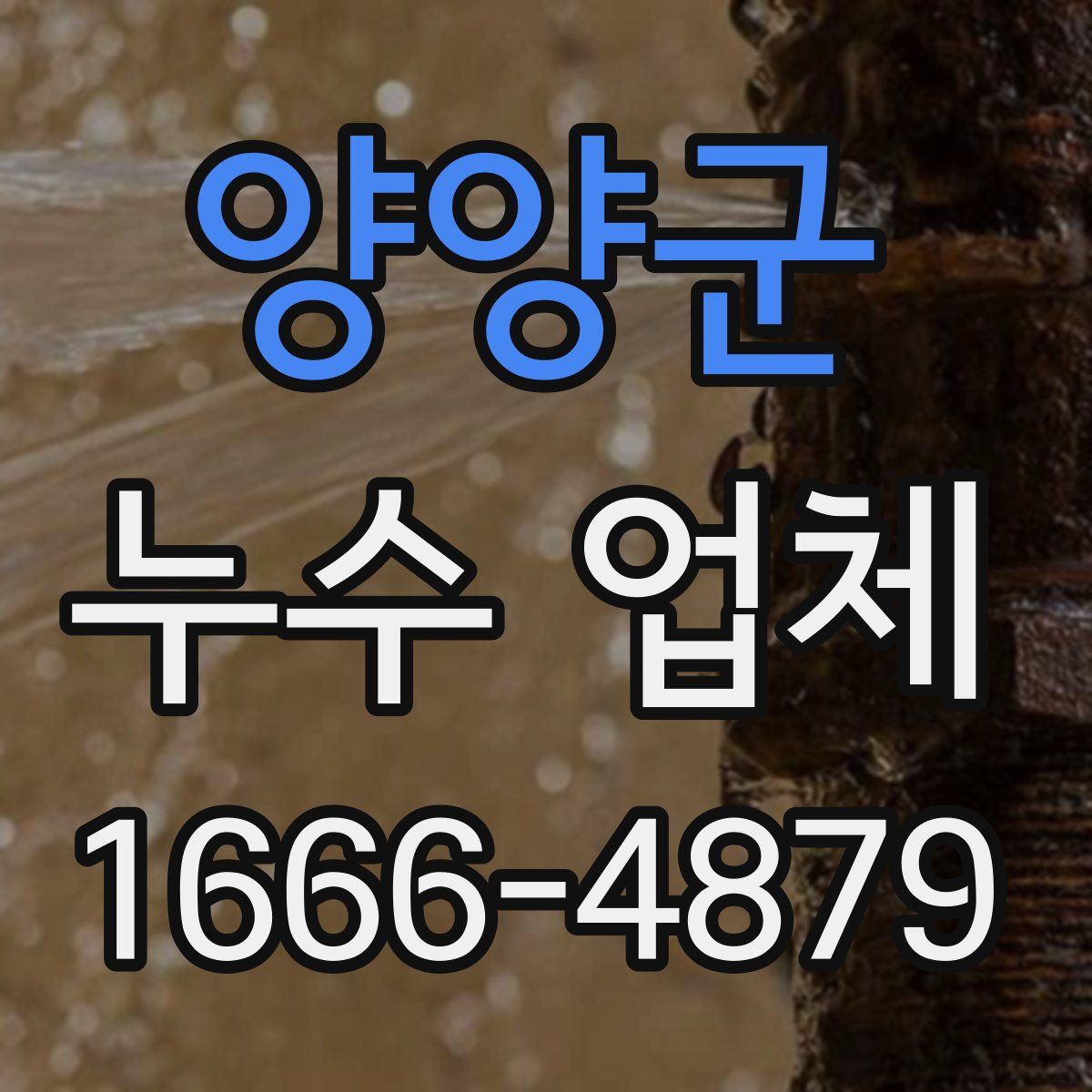 양양군 누수 업체
