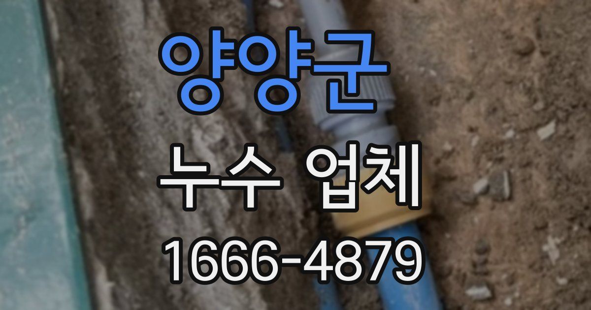 양양군 누수 업체