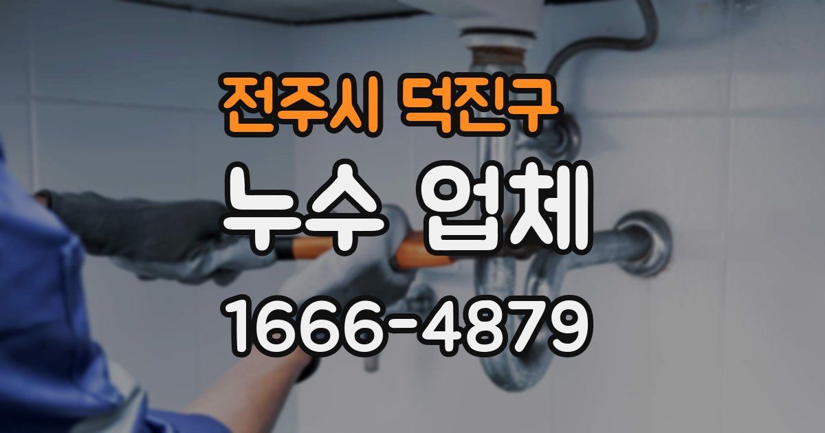 전주시 덕진구 누수 업체