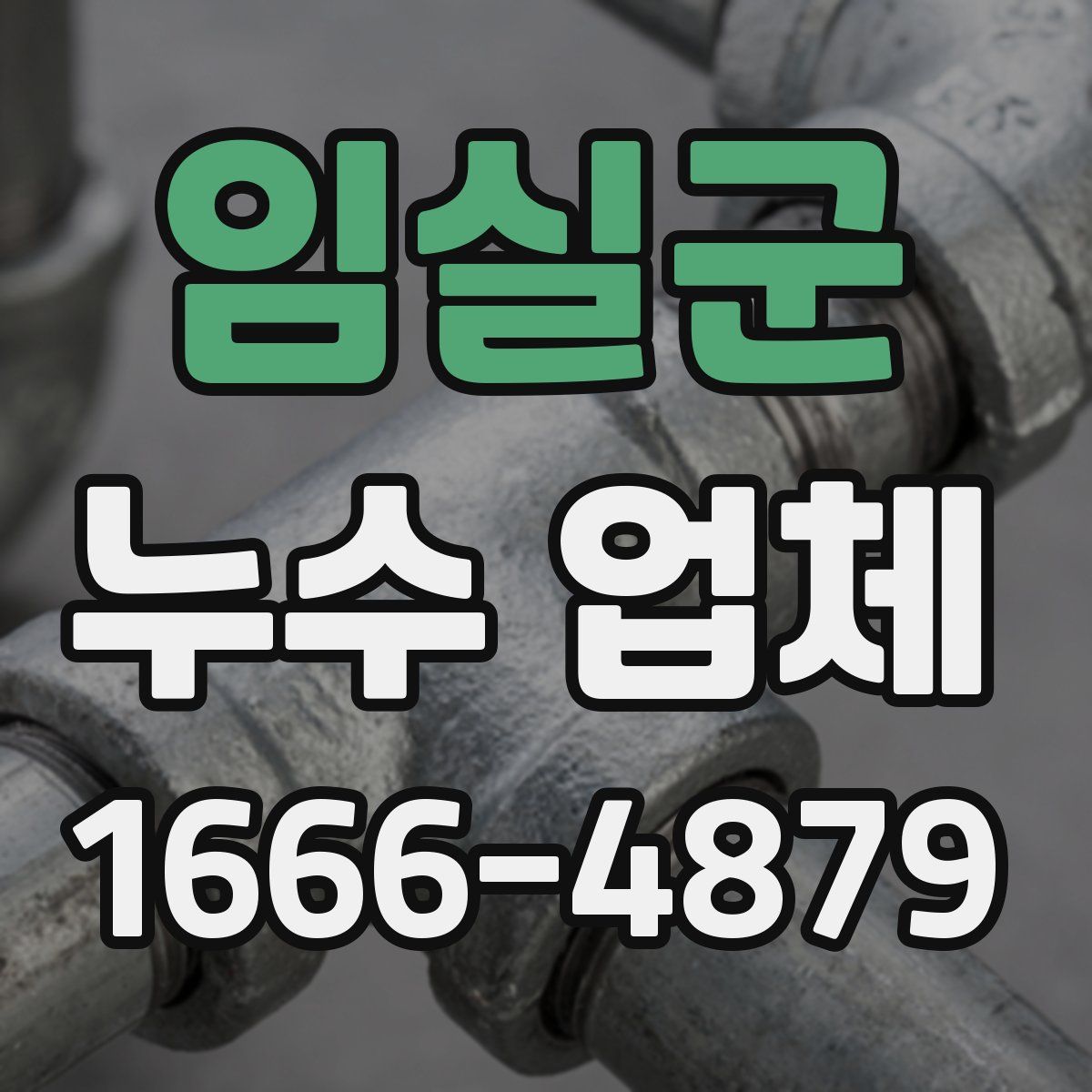 임실군 누수 업체
