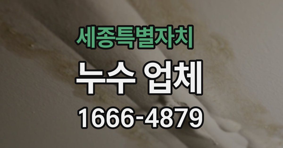 세종특별자치 누수 업체