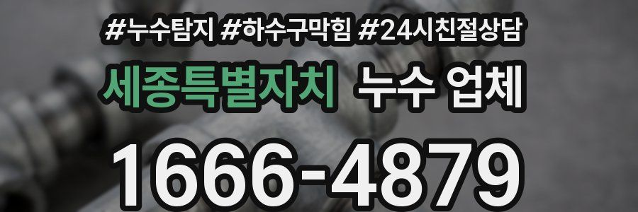 세종특별자치 누수 업체