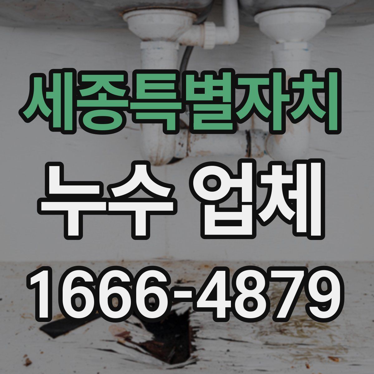 세종특별자치 누수 업체
