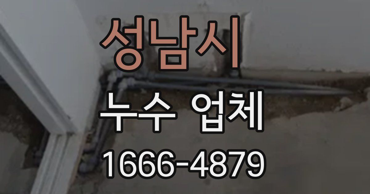 성남시 누수 업체
