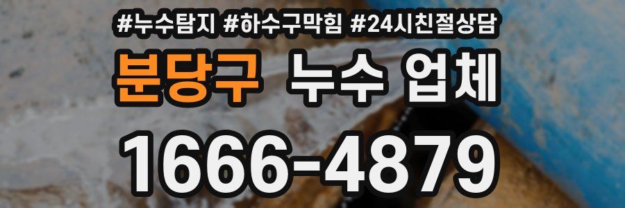 분당구 누수 업체