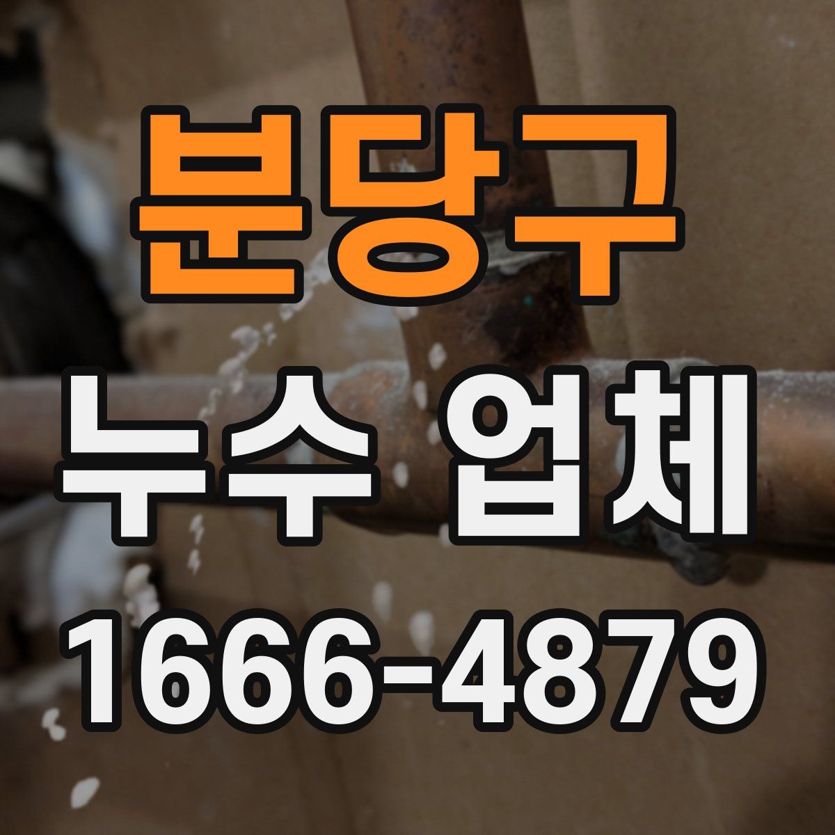 분당구 누수 업체