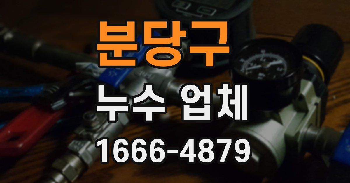 분당구 누수 업체