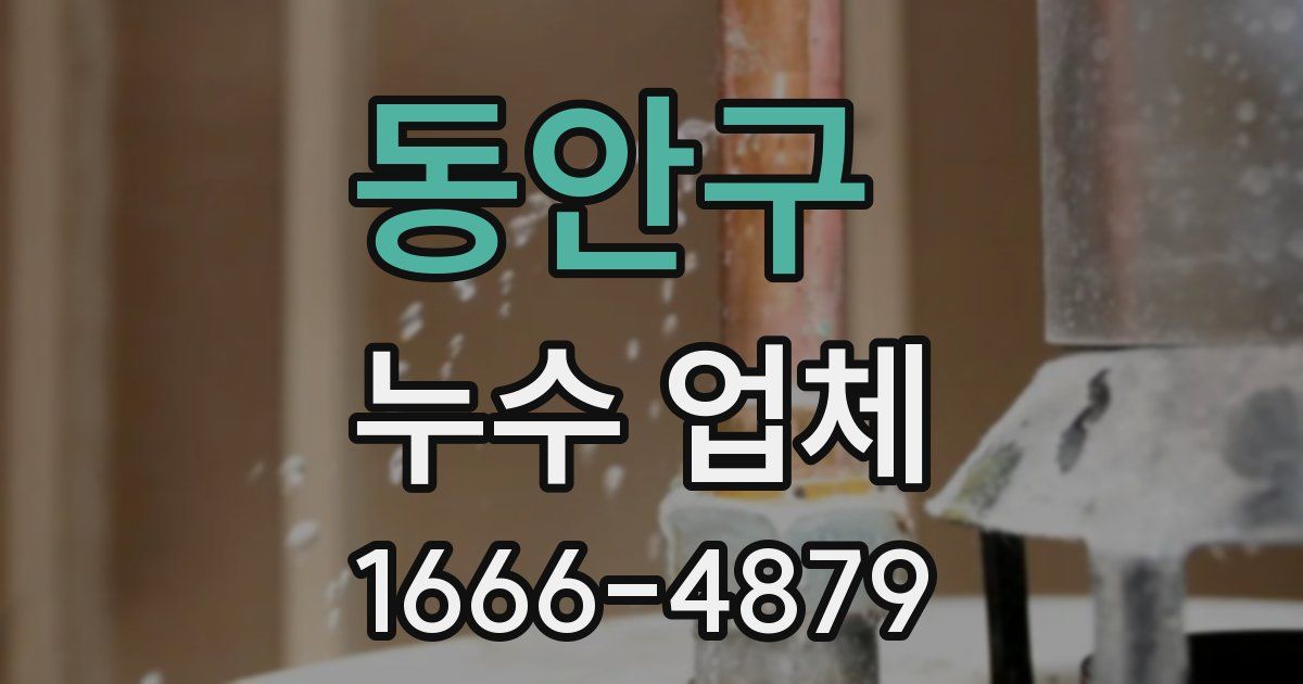 동안구 누수 업체