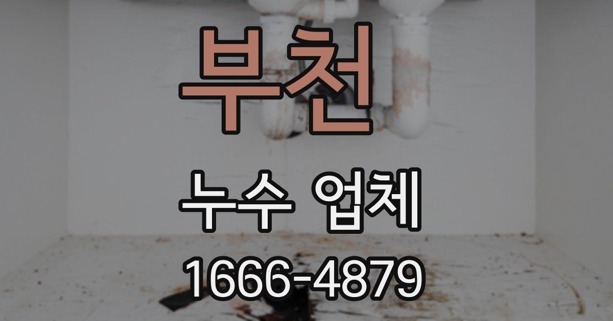 부천 누수 업체