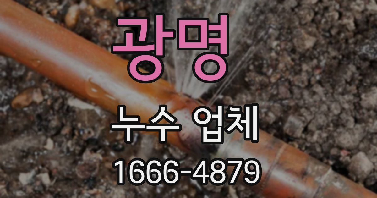 광명 누수 업체