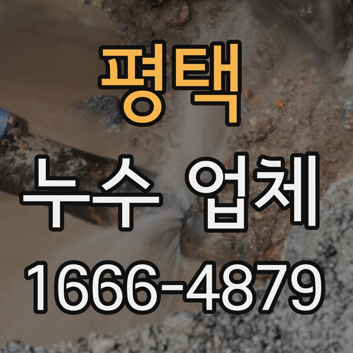 평택 누수 업체
