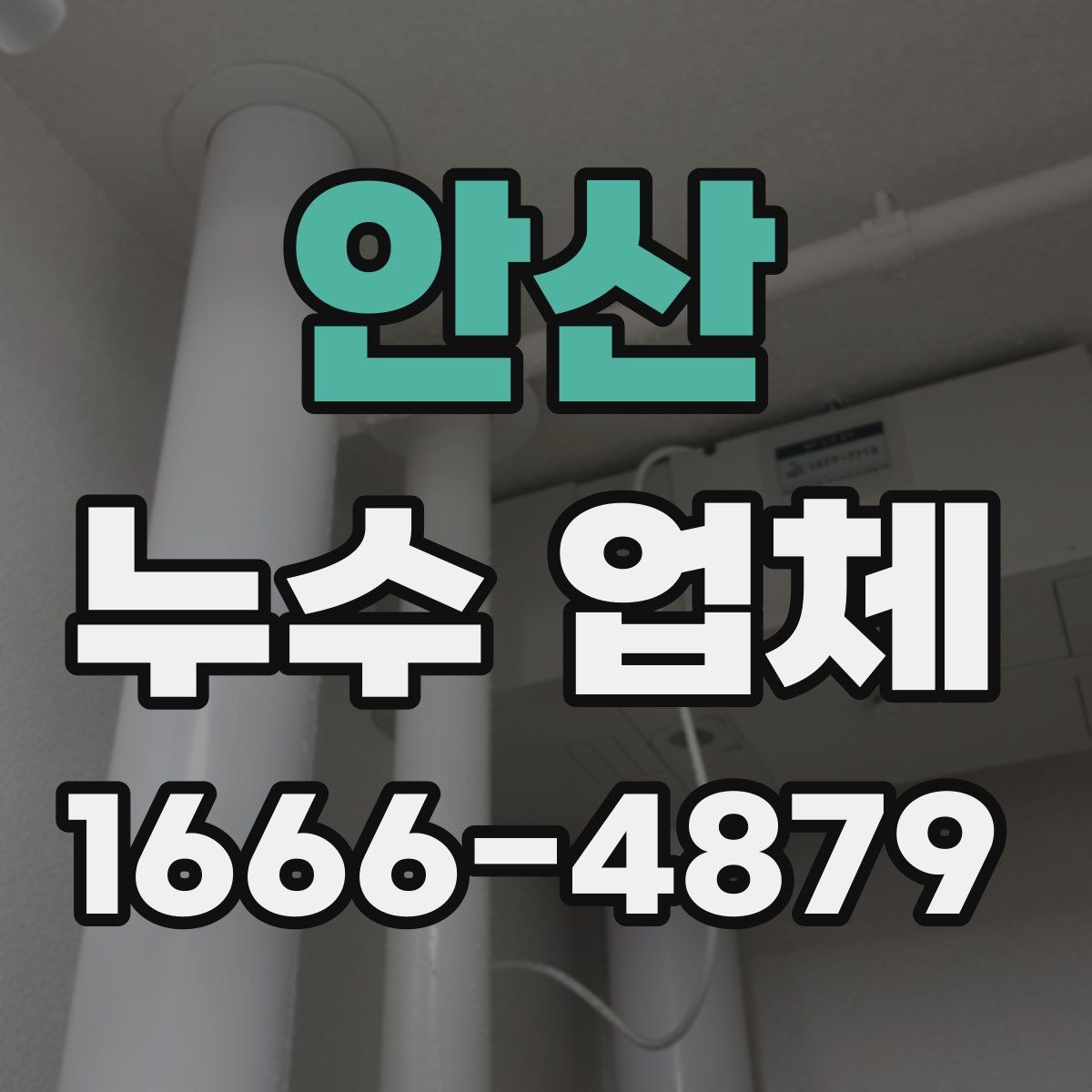 안산 누수 업체