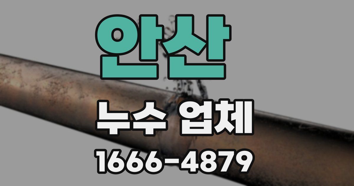 안산 누수 업체
