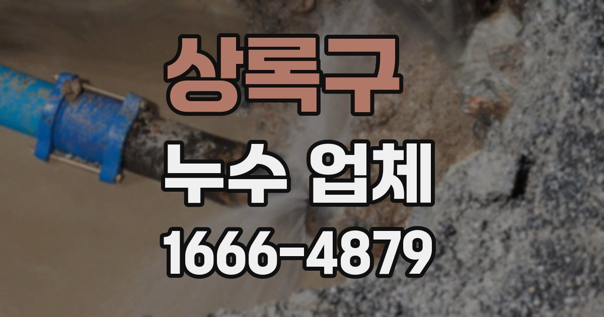 상록구 누수 업체