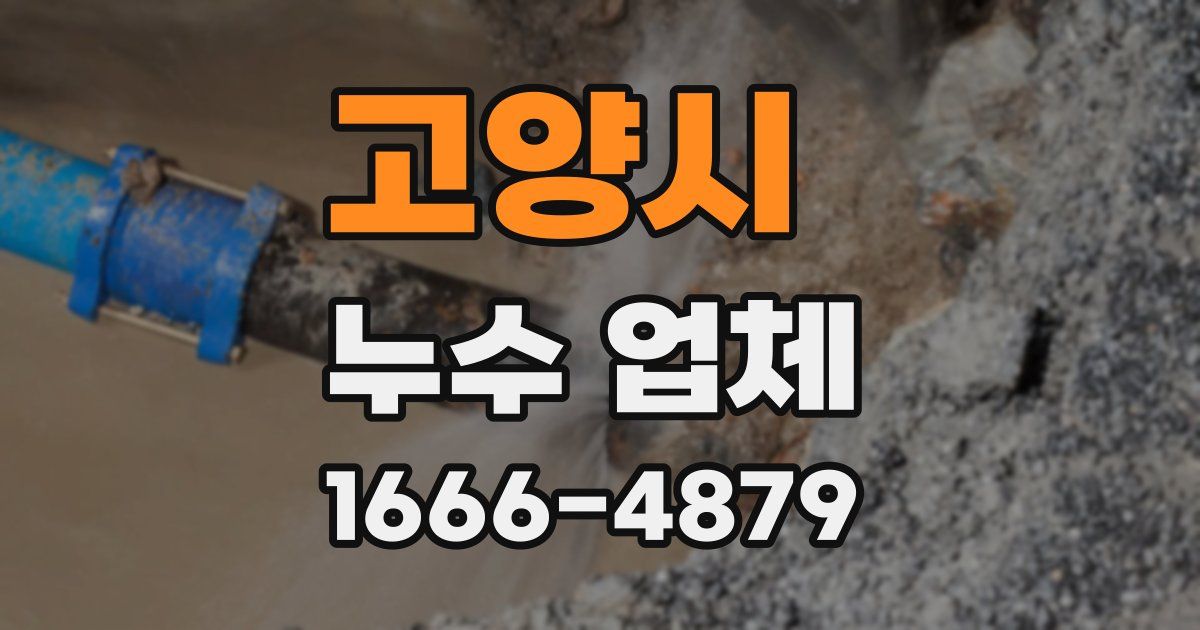 고양시 누수 업체