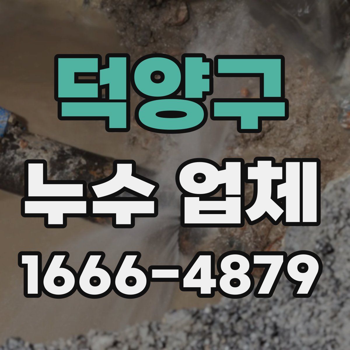 덕양구 누수 업체