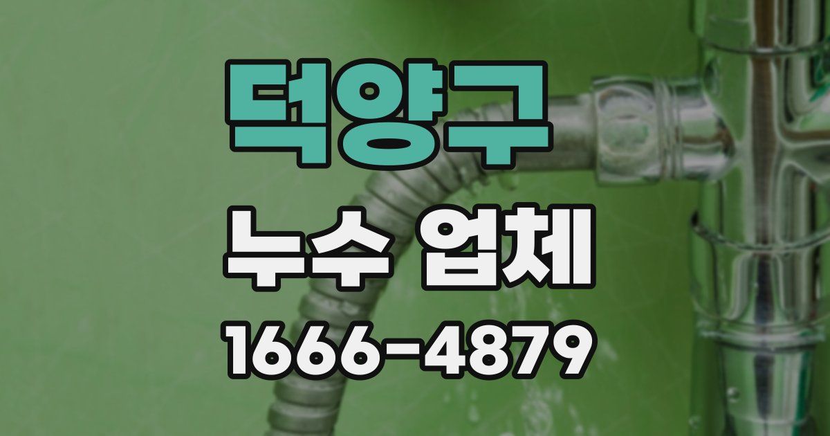 덕양구 누수 업체