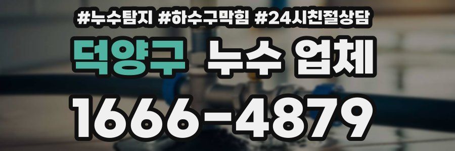 덕양구 누수 업체