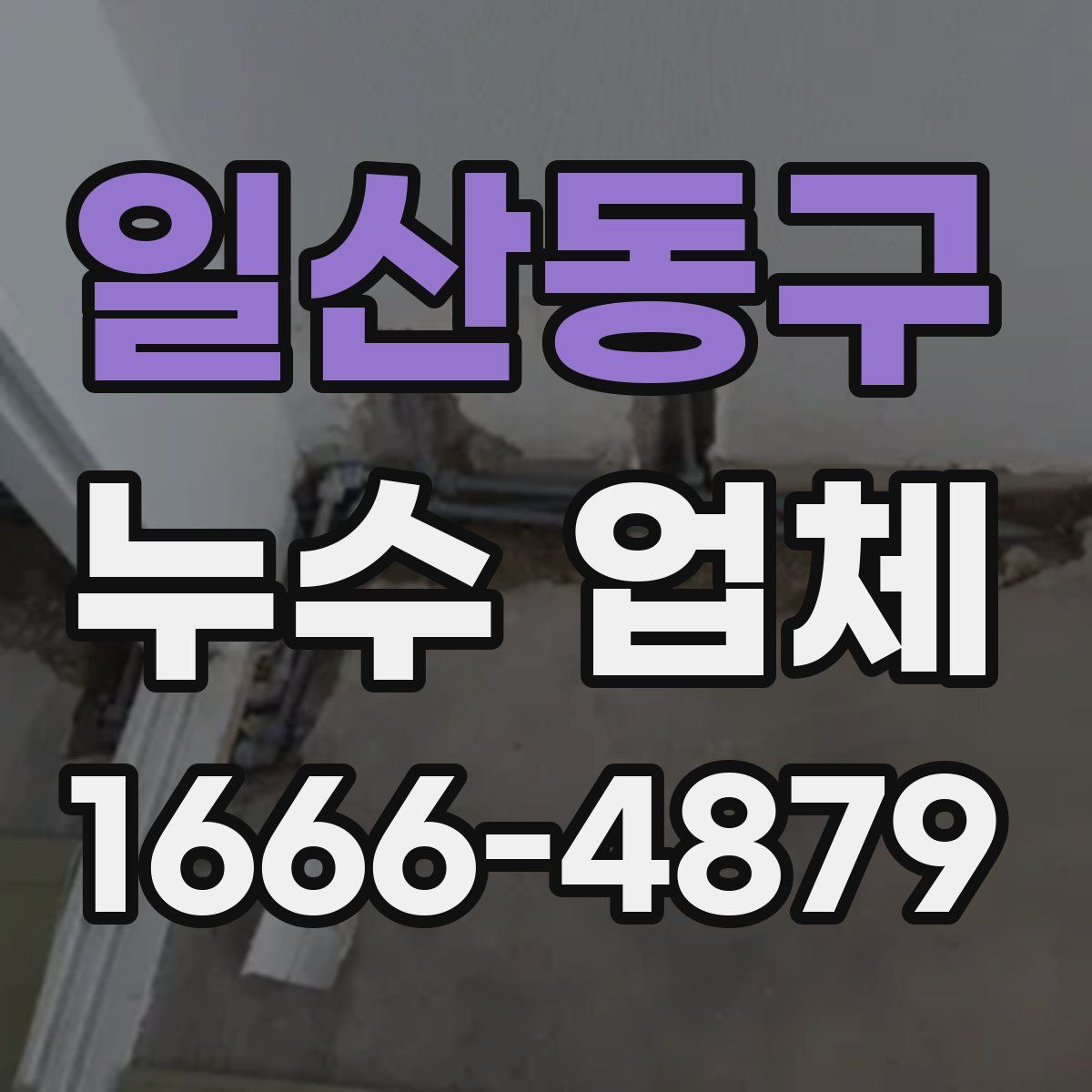 일산동구 누수 업체