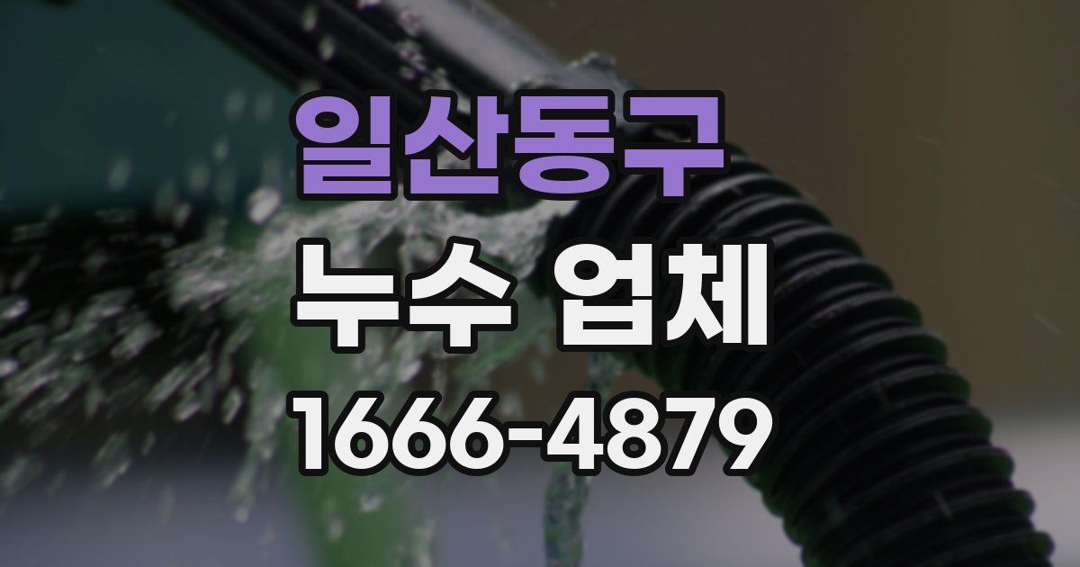 일산동구 누수 업체