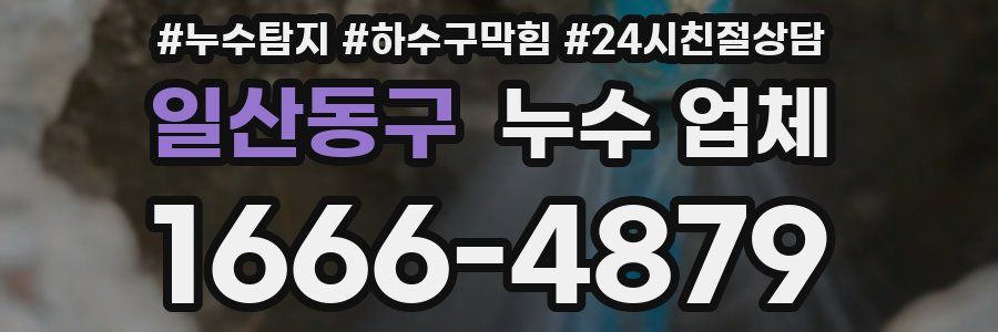 일산동구 누수 업체