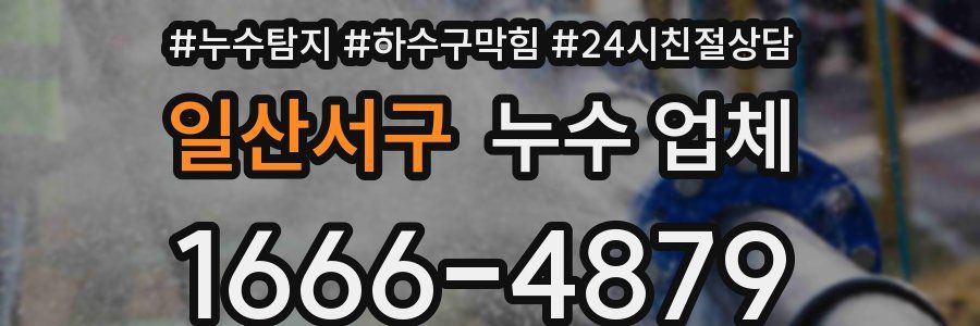 일산서구 누수 업체