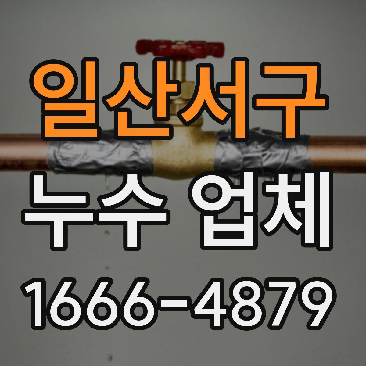 일산서구 누수 업체