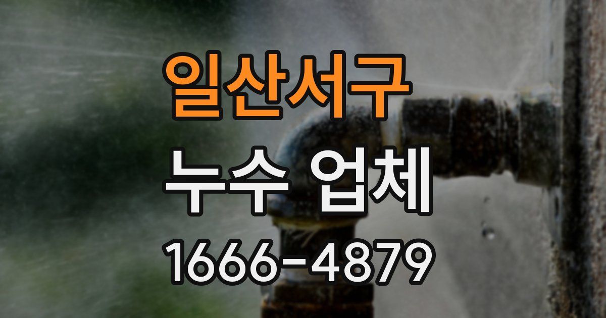 일산서구 누수 업체
