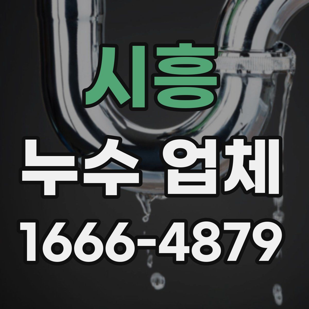 시흥 누수 업체