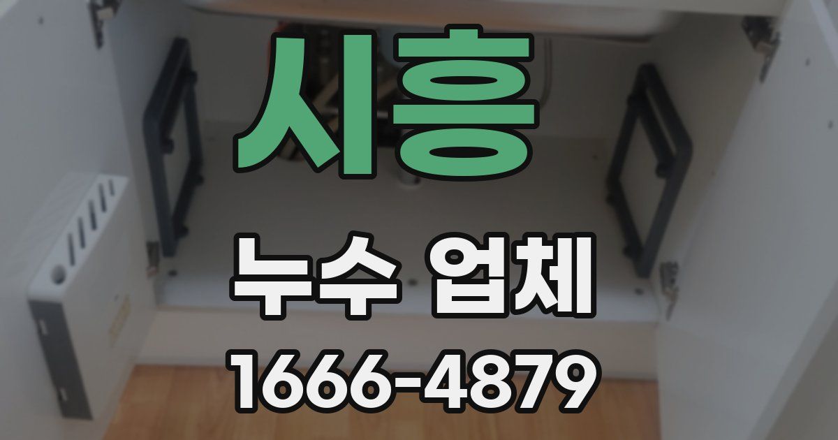 시흥 누수 업체