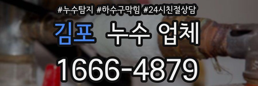 김포 누수 업체