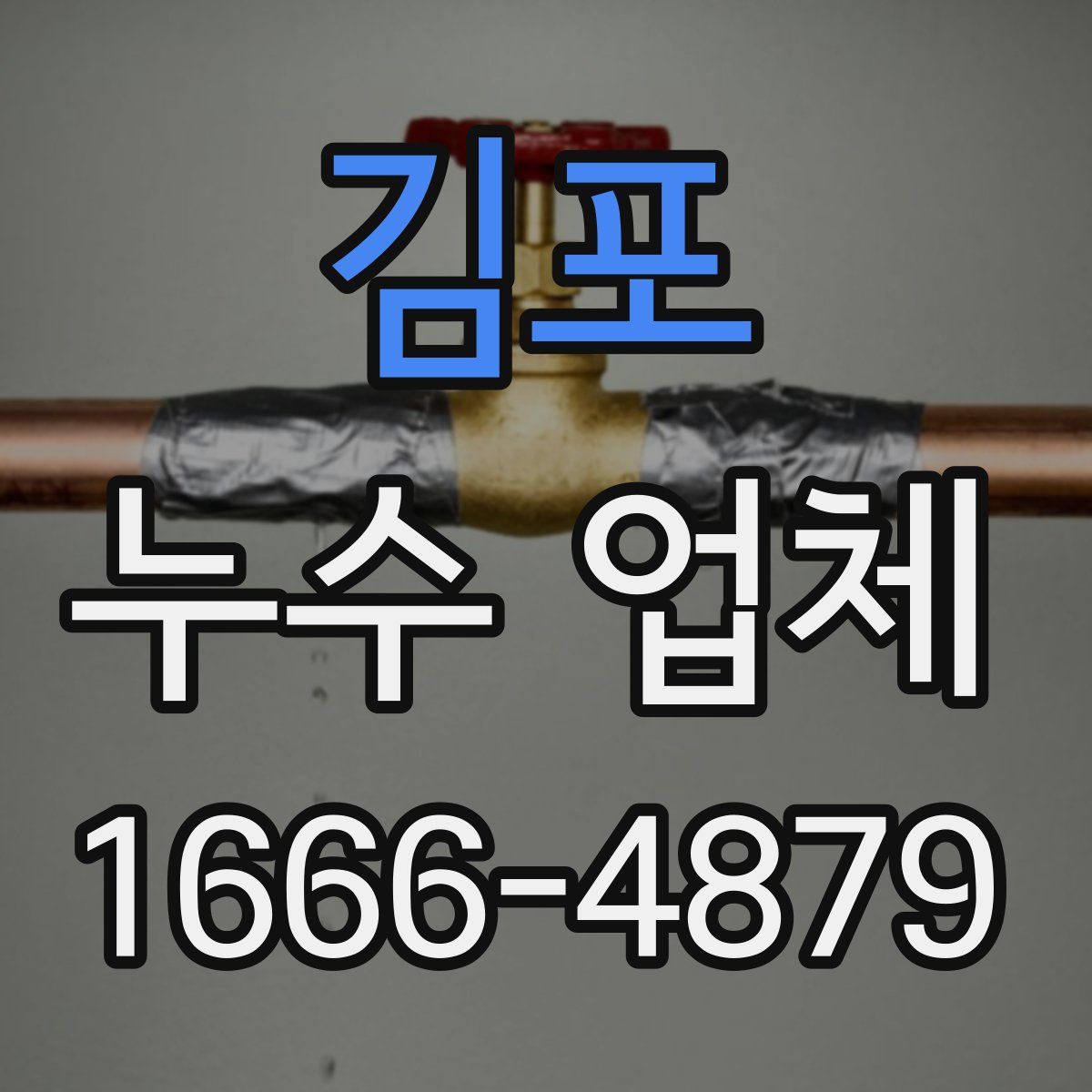 김포 누수 업체