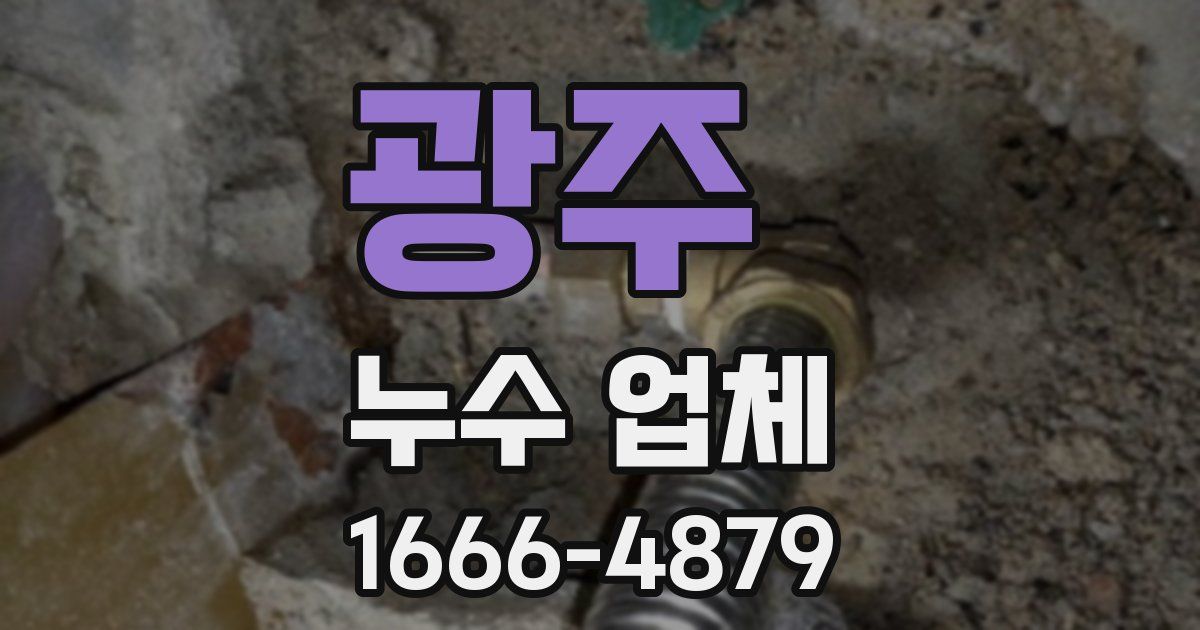 광주 누수 업체
