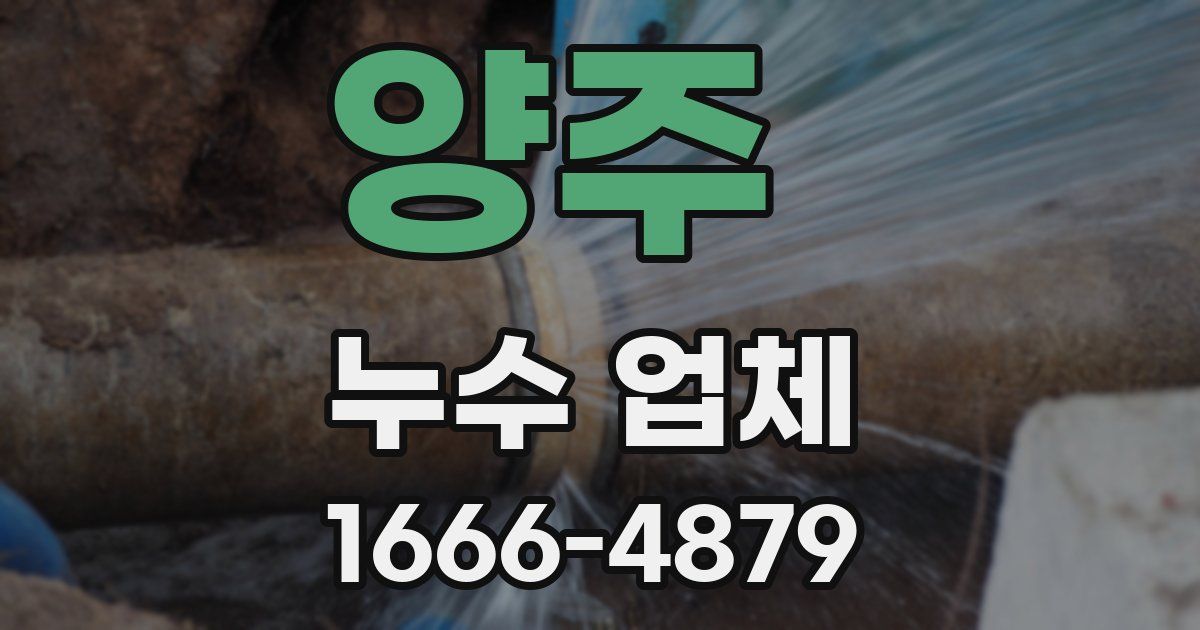양주 누수 업체
