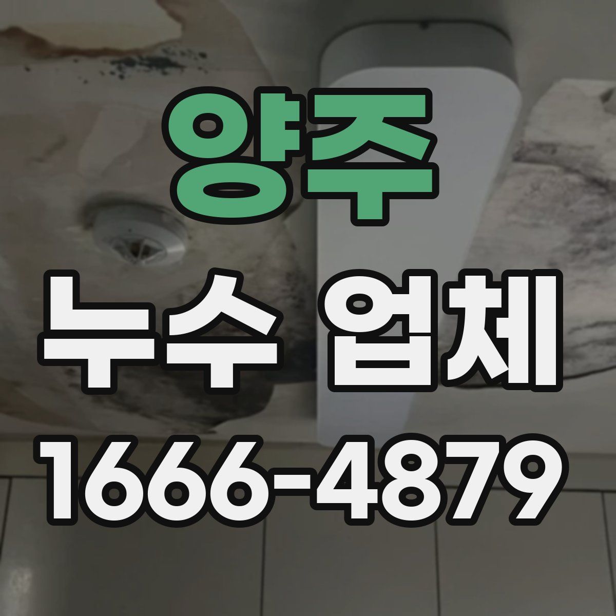 양주 누수 업체