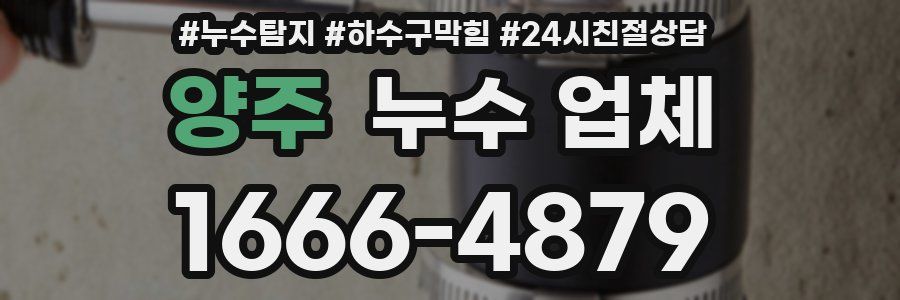 양주 누수 업체