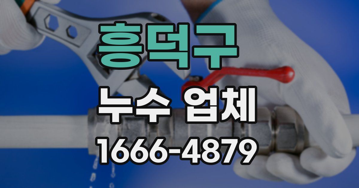 흥덕구 누수 업체