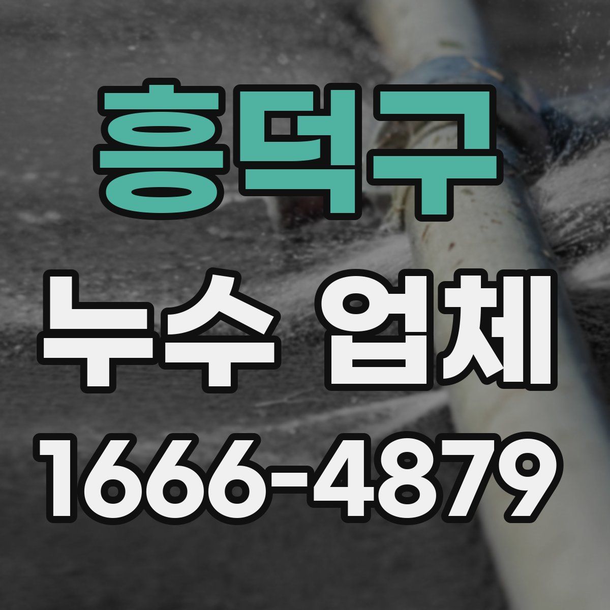 흥덕구 누수 업체