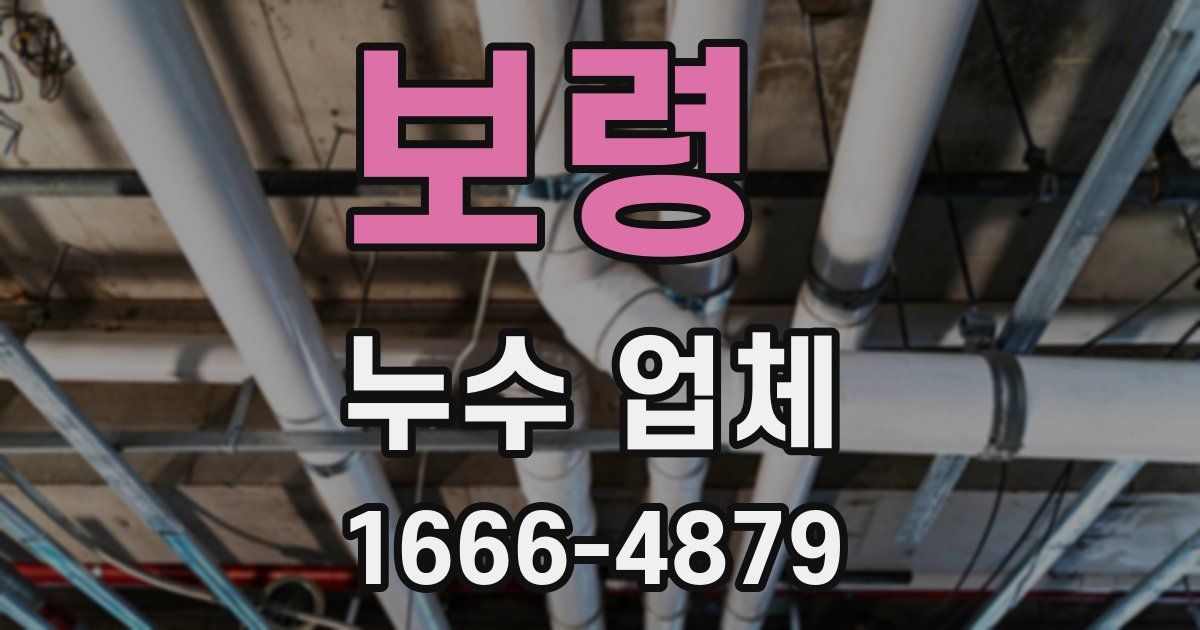 보령 누수 업체