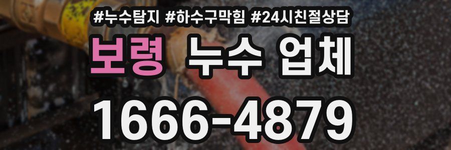보령 누수 업체