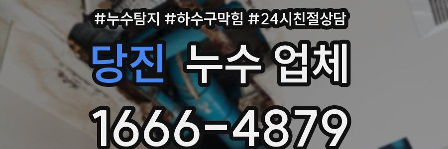 당진 누수 업체