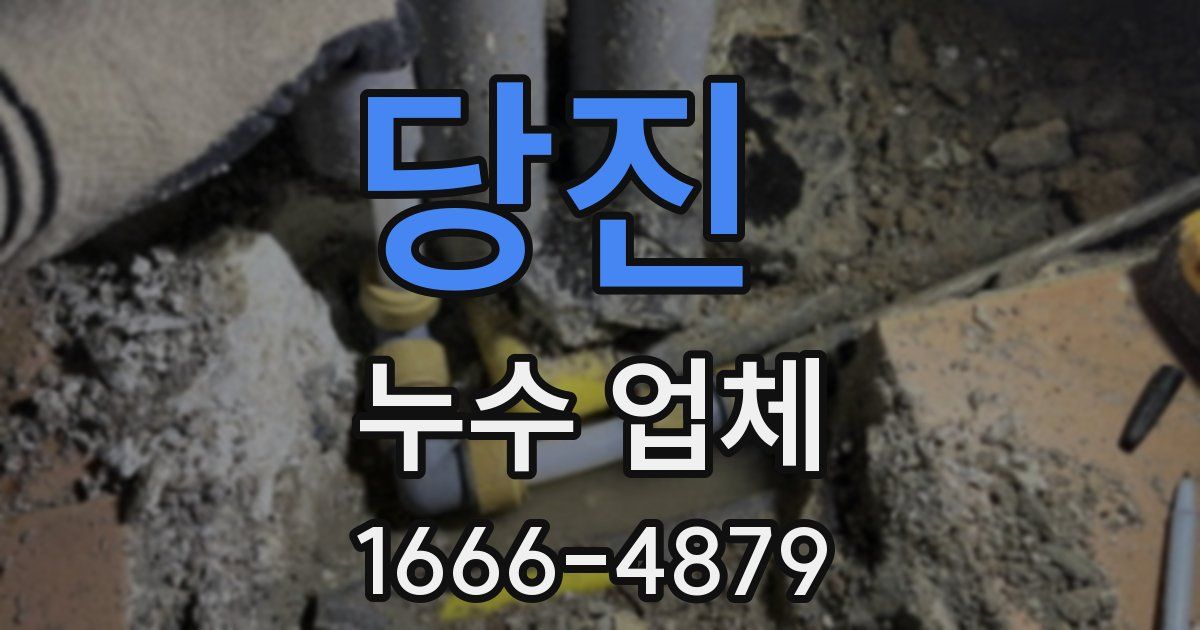 당진 누수 업체