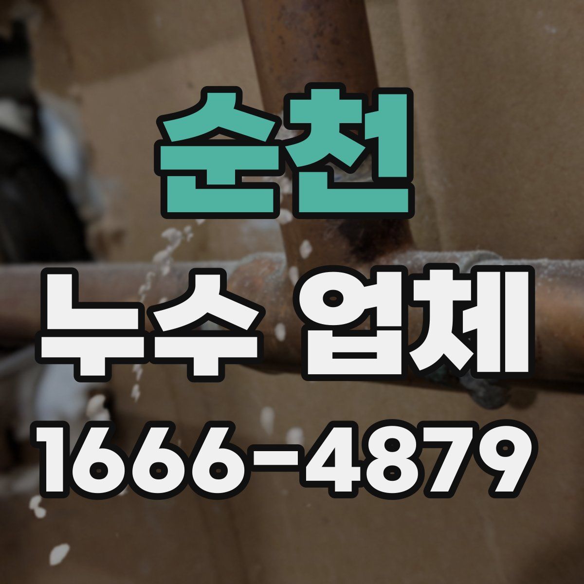 순천 누수 업체