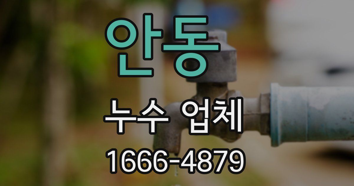 안동 누수 업체