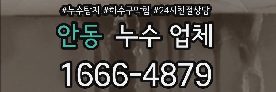 안동 누수 업체