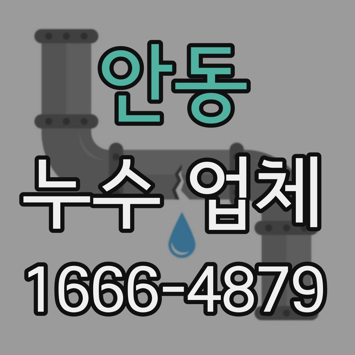 안동 누수 업체