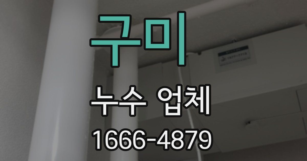 구미 누수 업체