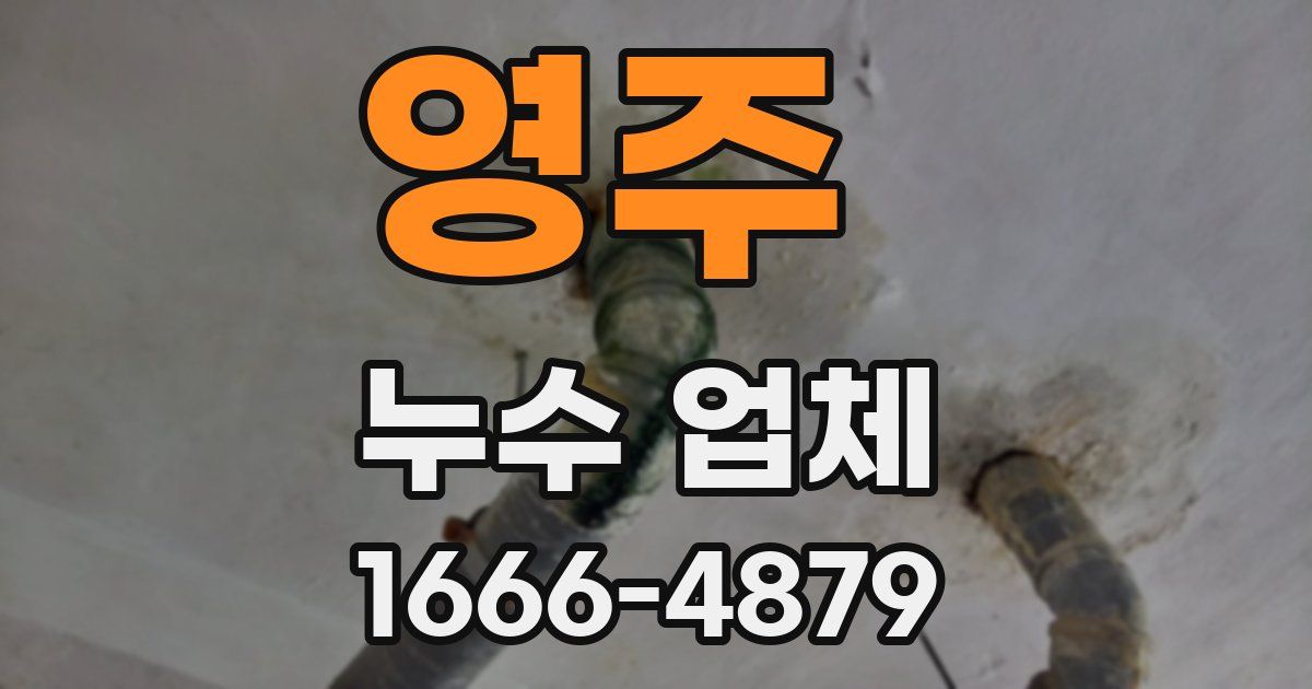 영주 누수 업체
